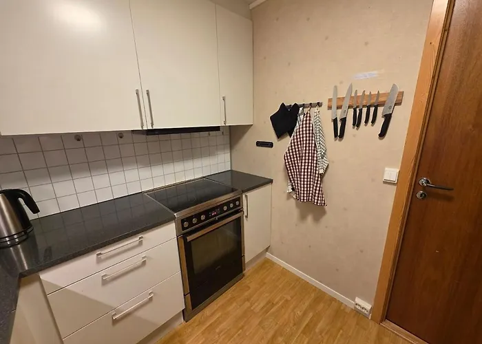 Arctic With Parking And Outdoor Area Leilighet *